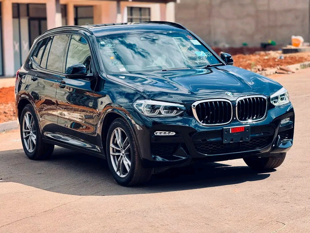 BMW X3 Image