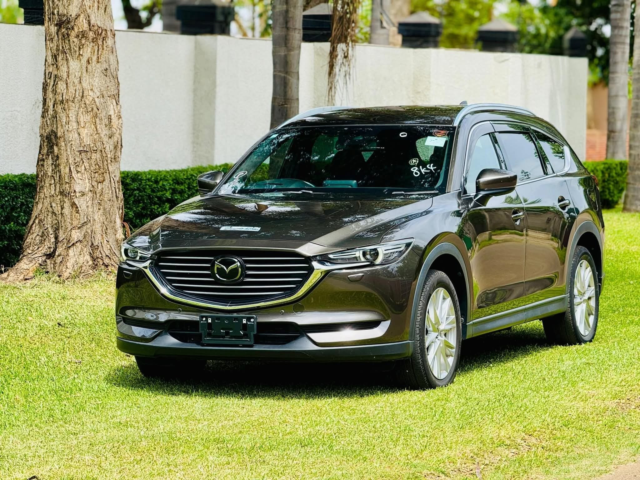MAZDA CX-8 Image